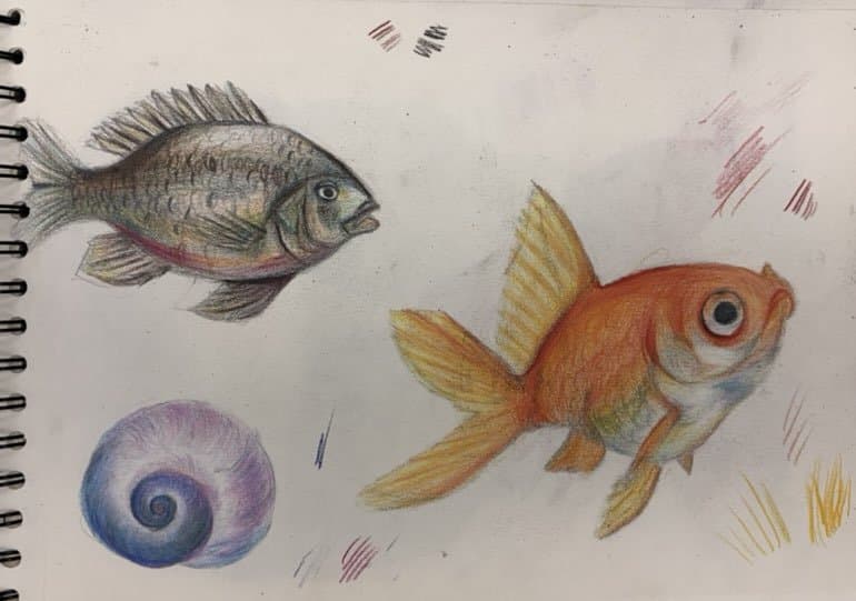 Visual Diary: Sketchbook Pages